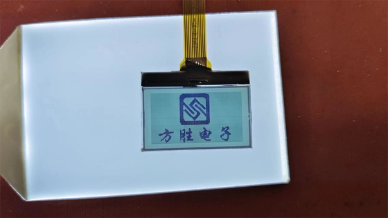 شاشة LCD ذات رقم إيجابي عالي الجودة FSTN شاشة LCD ذات شاشة ناقلة مخصصة TN Lcd Module للمعدات