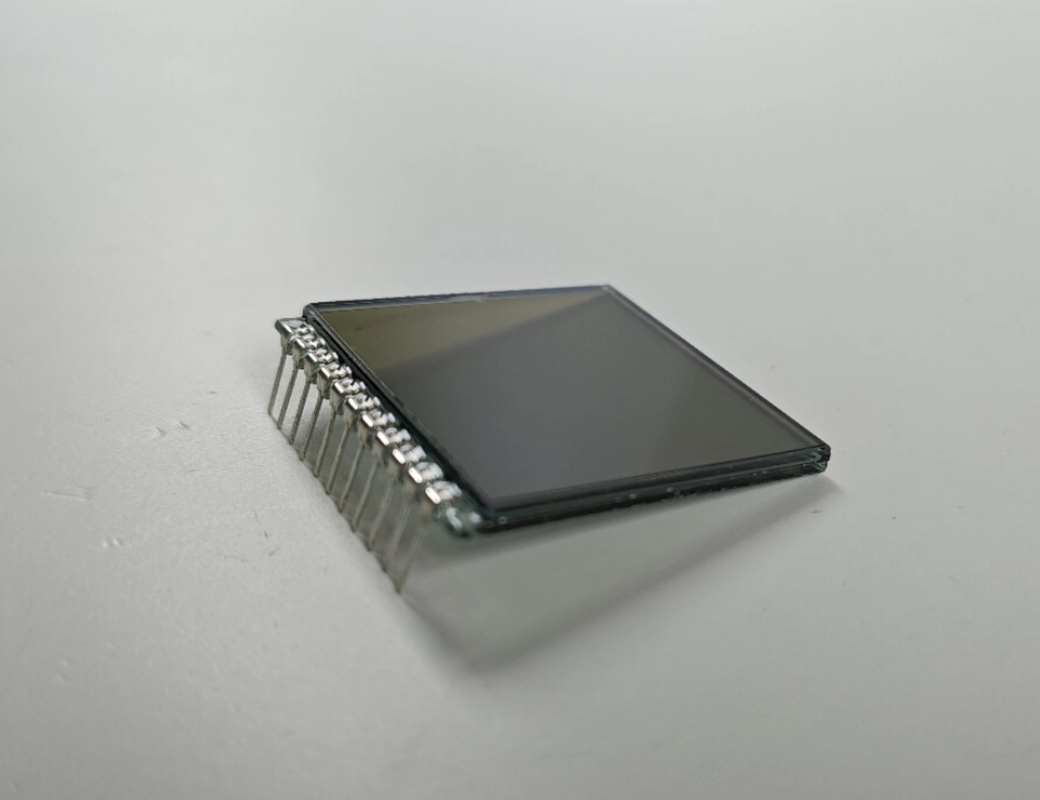 رقم إيجابي شاشة FSTN 6 0 ساعة عرض LCD ناقل مخصص TN Lcd Module