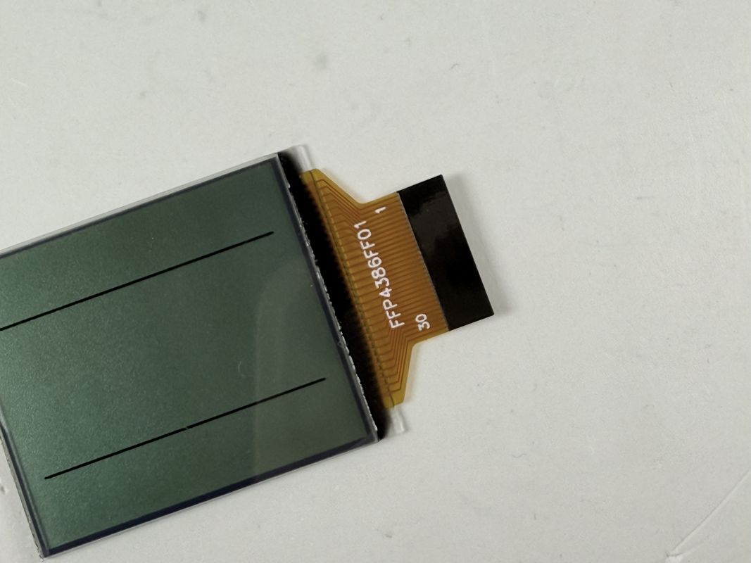 مخصص FSTN بالأبيض والأسود شاشة LCD | شاشة LCD أحادية اللون للتطبيقات الصناعية والإلكترونية