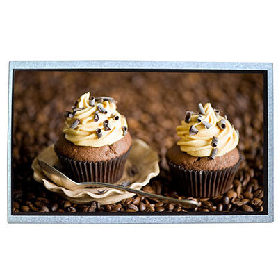 235 X143 X 5mm 65K TFT LCD Module 1024 X 600 Resolution LVDS Interface