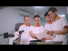 دونغقوان فانغ شنغ إل سي دي المحدودة